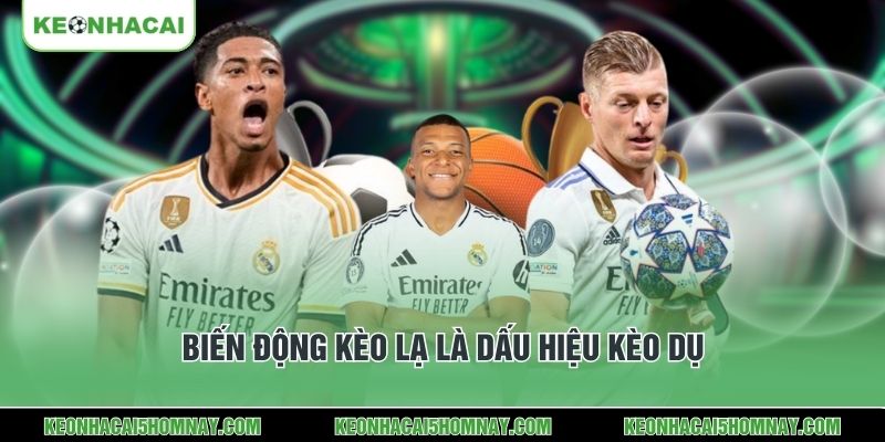 Biến động kèo lạ là dấu hiệu kèo dụ