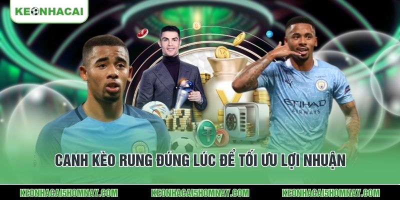 Canh kèo rung đúng lúc để tối ưu lợi nhuận