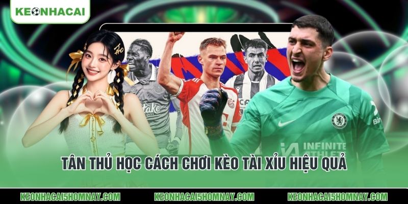 Tân thủ học cách chơi kèo Tài Xỉu hiệu quả