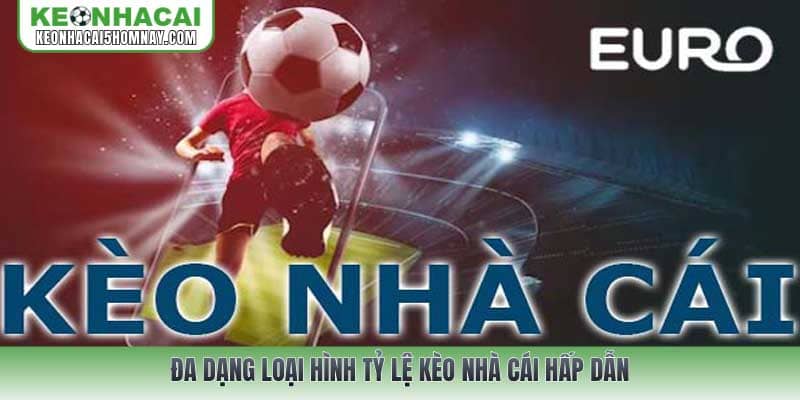 Đa dạng loại hình Tỷ lệ kèo nhà cái hấp dẫn