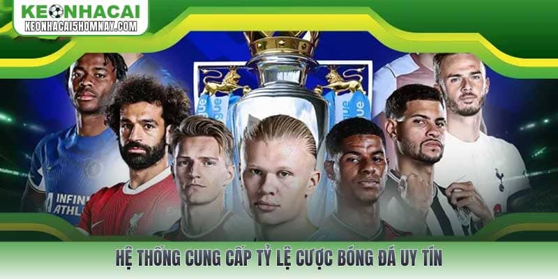 Hệ thống cung cấp tỷ lệ cược bóng đá uy tín
